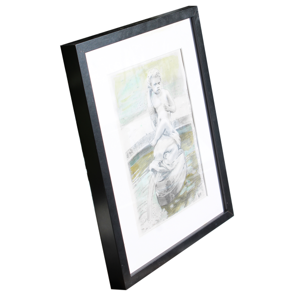 dolphin riding drawing pens frame passepartout